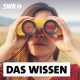 Bild/Foto