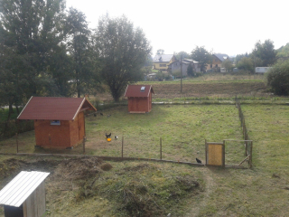 Foto ansehen WEBSITE/FOTOS/Emmaus_Lwiw