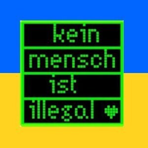 Die_Primel