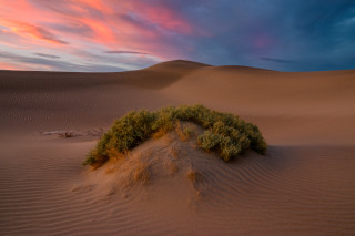 Death-Valley-NP-5.jpg