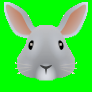 Rabbit (Akkoma)