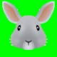 Rabbit (Akkoma)