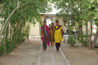 Foto ansehen WEBSITE/FOTOS/VCDS-Indien