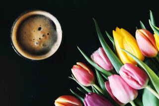 g-tulips.jpg