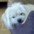 Lasse+Gismo+%28Friendica%29