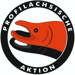 Profilachse