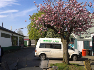 Foto ansehen home.jpg