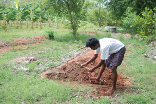 Foto ansehen WEBSITE/FOTOS/VCDS-Indien